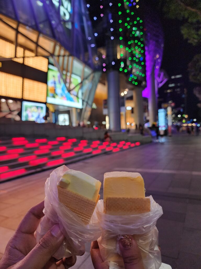 Singapore and Malaysia Tour