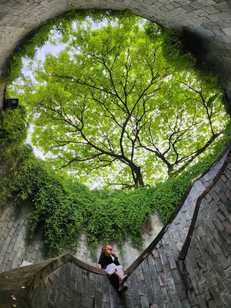 singapore and malaysia tour package